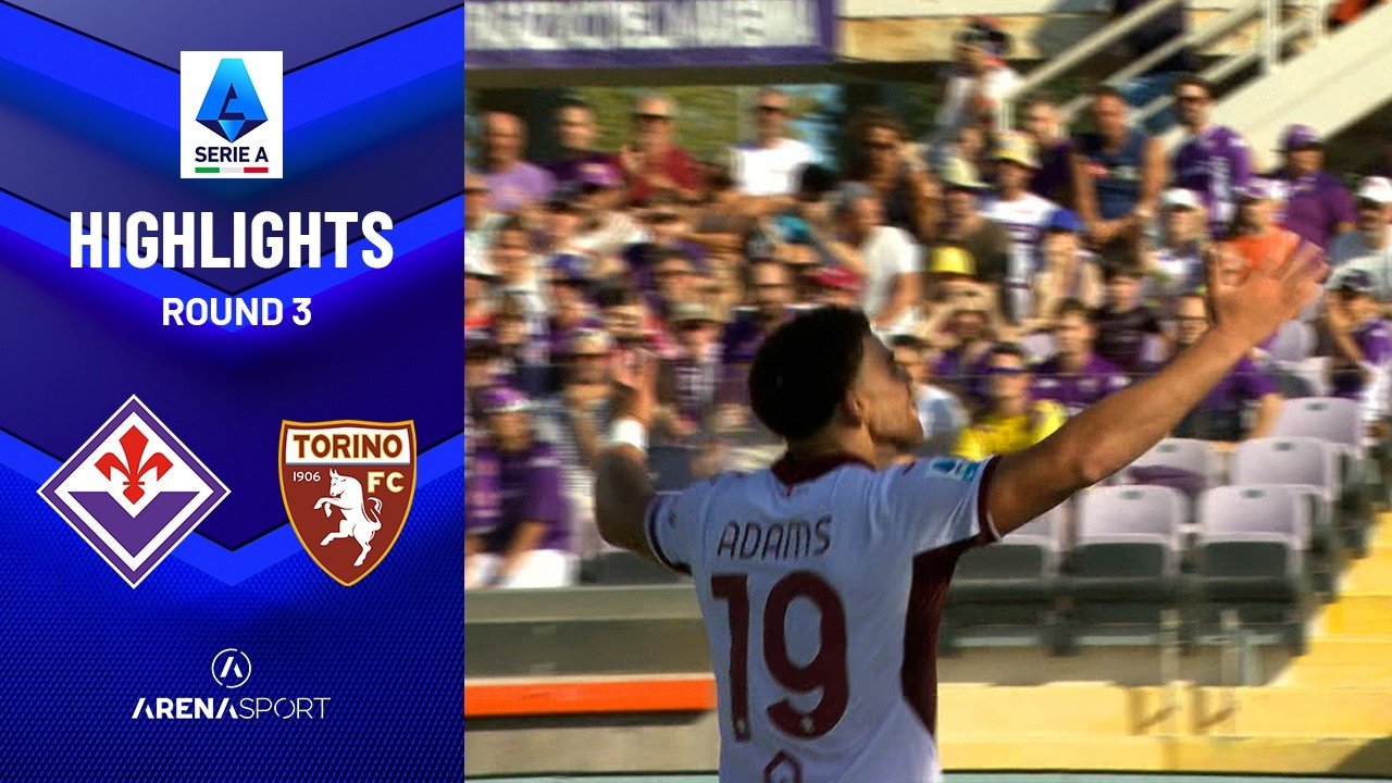 Fiorentina 1-2 Torino